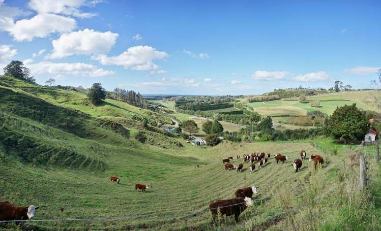 893r Welcome Bay Road Papamoa_6