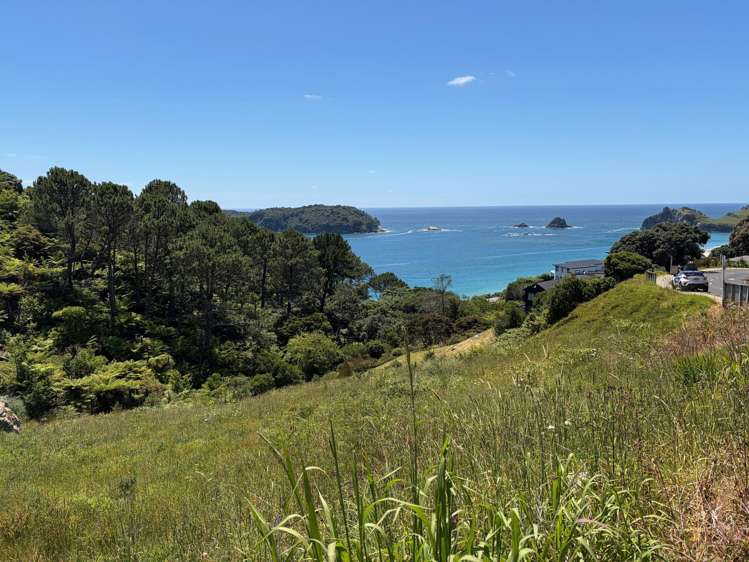 98 Grange Road Hahei_6