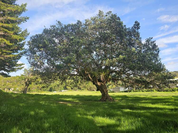 121 Ohawini Road Oakura_41