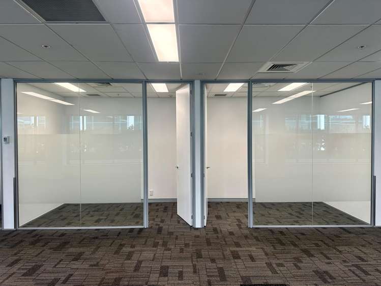 101 Carlton Gore Road Newmarket_4