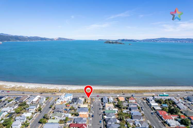 217 The Esplanade Petone_10