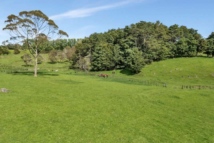 90 Mckinley Road Kokopu_43