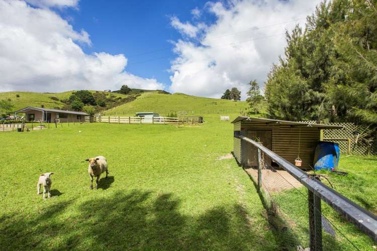 70 Linton Road Kaipara Flats_18