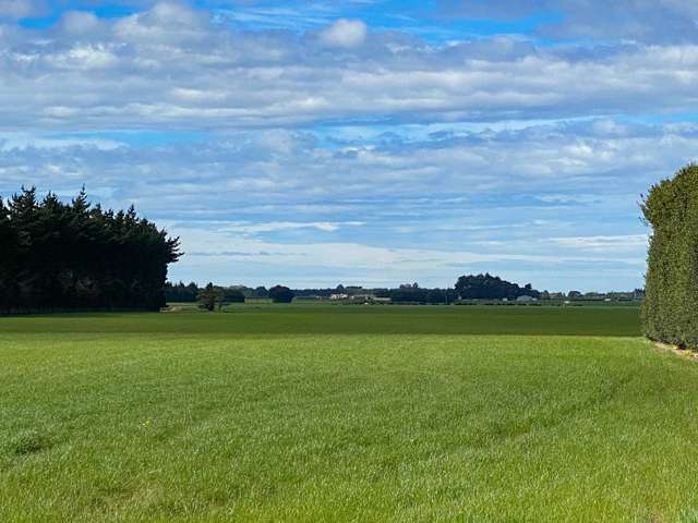 1596 Lorneville Dacre Highway Mabel Bush_1