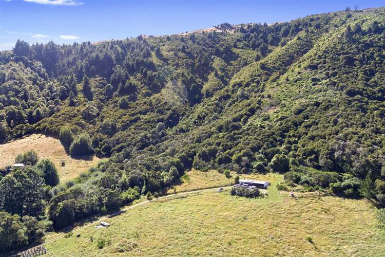 2725 Motueka Valley Highway Woodstock_6