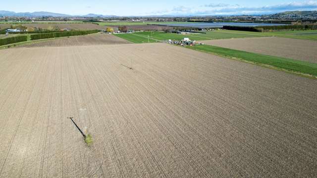 139 Waverley Road Meeanee_2