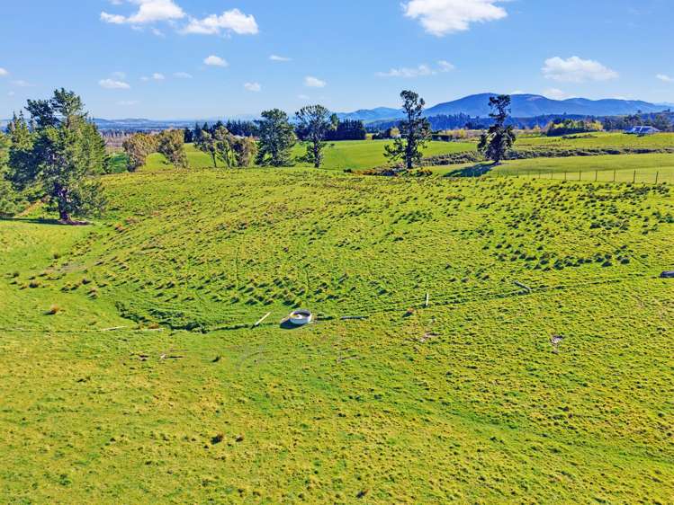 454 Loburn Kowai Road Loburn_6