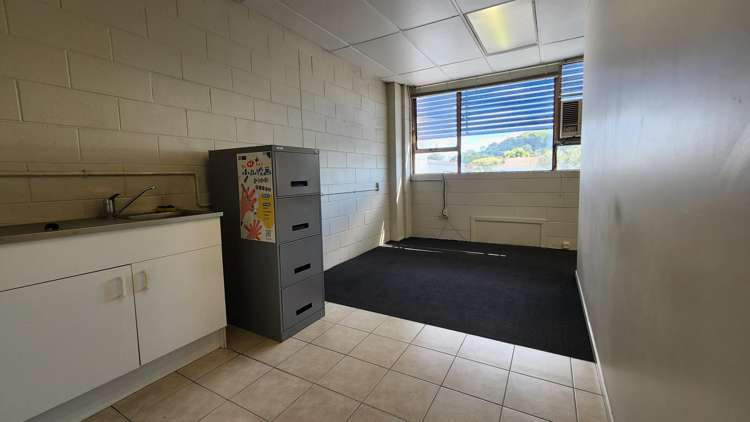 Level 1 Studio/123 Manukau Road Epsom_6