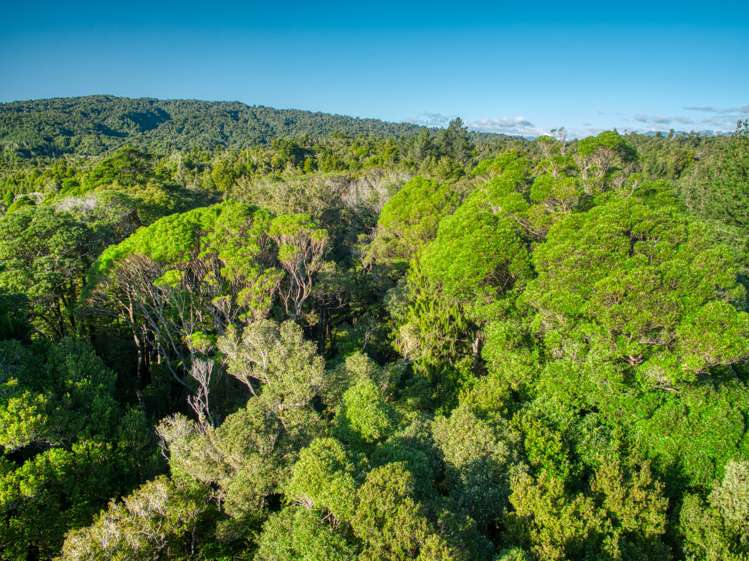 Haydens Road Marsden_8