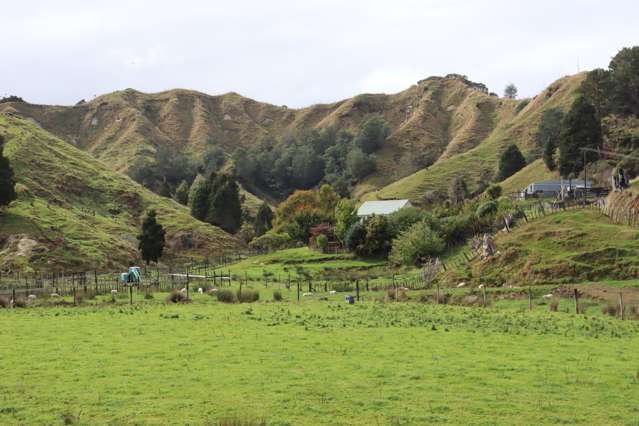 4869 Ohura Road Pohokura_4