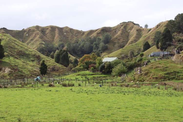 4869 Ohura Road Pohokura_4