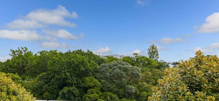 9/27 Birdwood Crescent Parnell_6