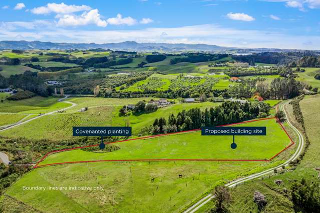 170 Hamilton Road Warkworth_2