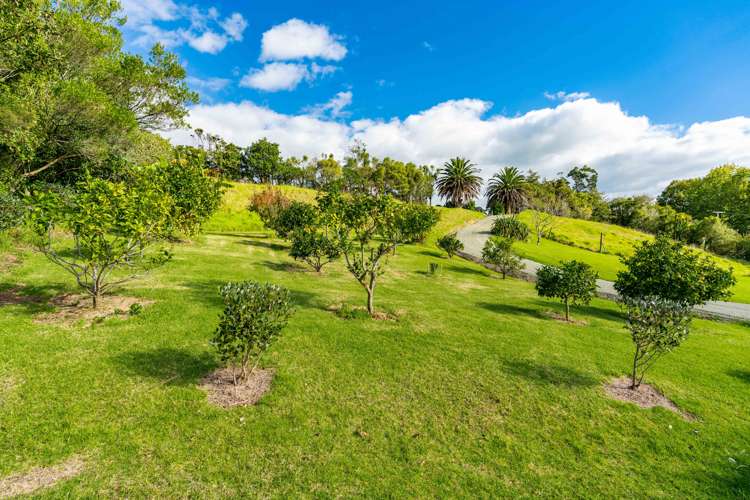 356 Tara Road Mangawhai_25