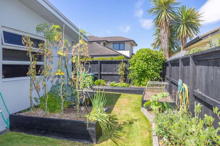 19 Shalimar Place Huntington_26