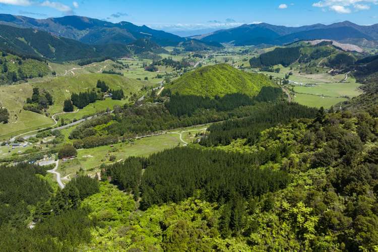 304 State Highway 1 Anakiwa and Surrounds_17