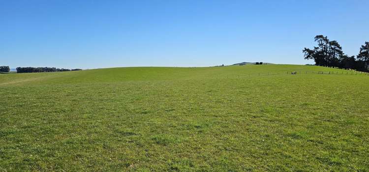 565 Bushy Park Road Waikaka_14