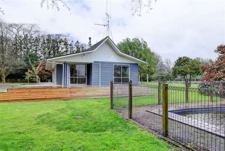 94b Webster Road Matangi_2