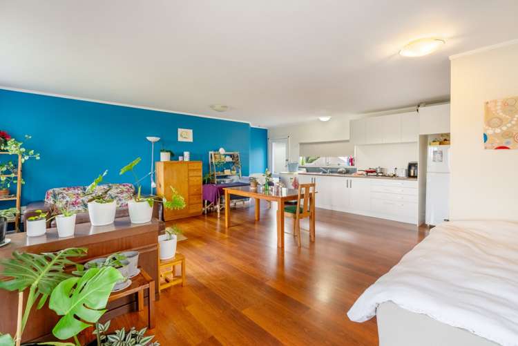 212a Plummers Point Road Whakamarama_17