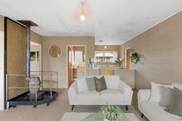 381a Ellesmere Junction Road Springston_3