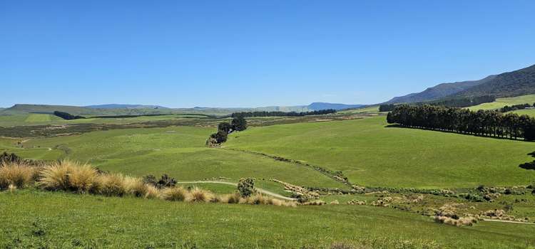 623 Slopedown Road Catlins Surrounds_20