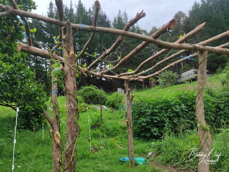 139 Warner Road Takahue_16