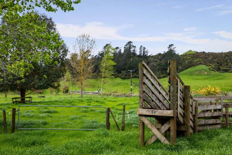 591 Waitawheta Road Waihi_19