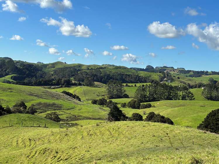 Paparoa Road_2