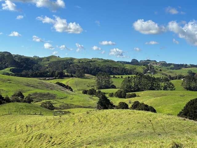 Paparoa Road Mangapai_2