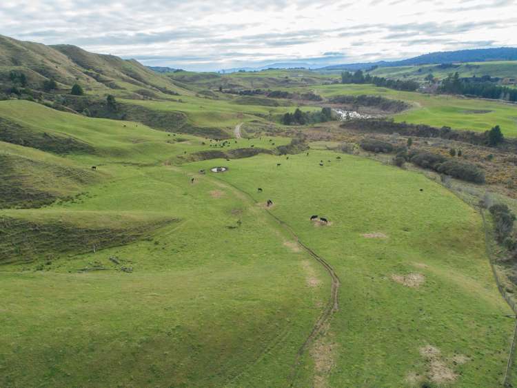 State Highway 4 Owhango_5