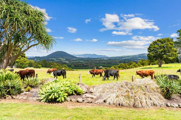 992 State Highway 14 Maungatapere_32