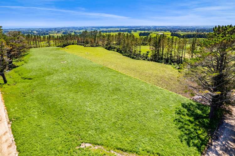 1627 Mangorei Road Korito_20