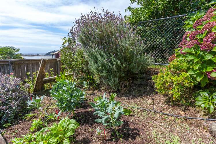 8 Pine Grove Tairua_29