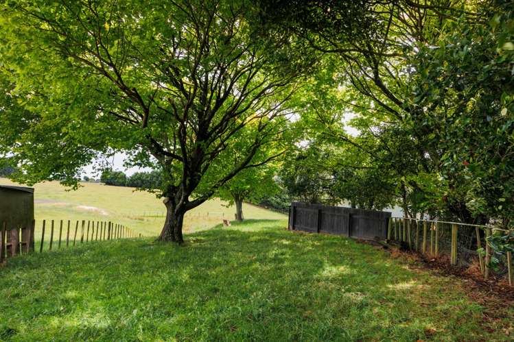 125 Tutaki Road Kelvin Grove_21