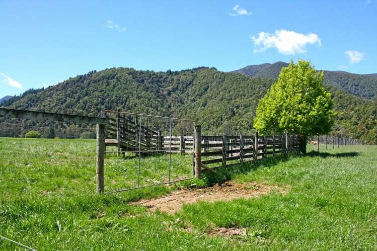 77 Maungatapu Road Rai Valley_13