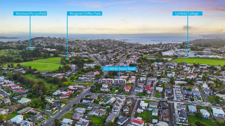 Lot 6-10/101 White Swan Road Mount Roskill_16