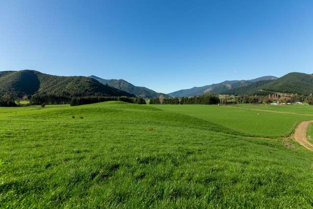 52 Daltons Road Canvastown_1