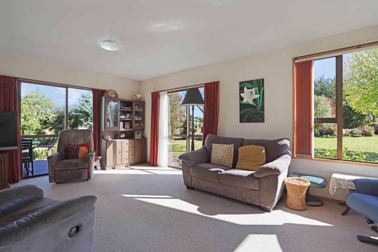 57 David Street Hinds_11