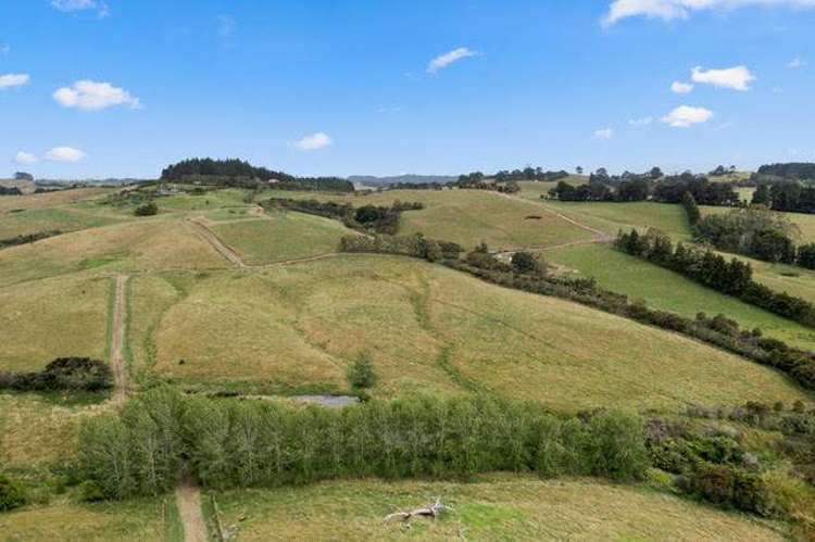 Lot 2 Forestry Road Waitoki_12