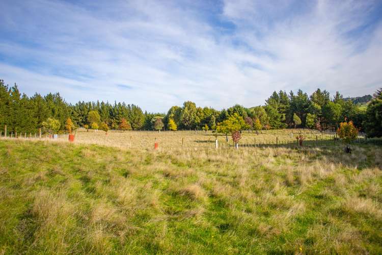 1204j State Highway 3 Kai Iwi_7