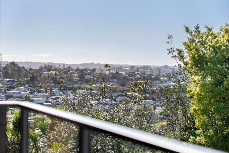 273 Don Buck Road Massey_12