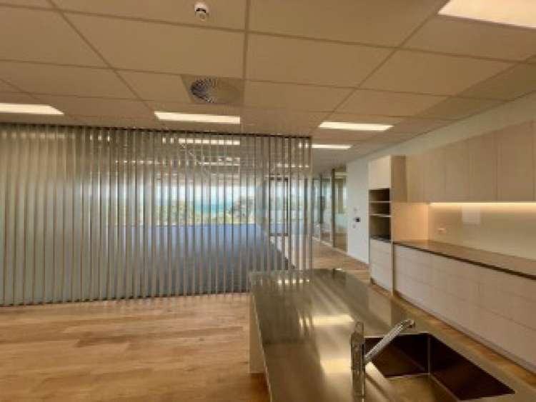 81 The Esplanade Petone_2