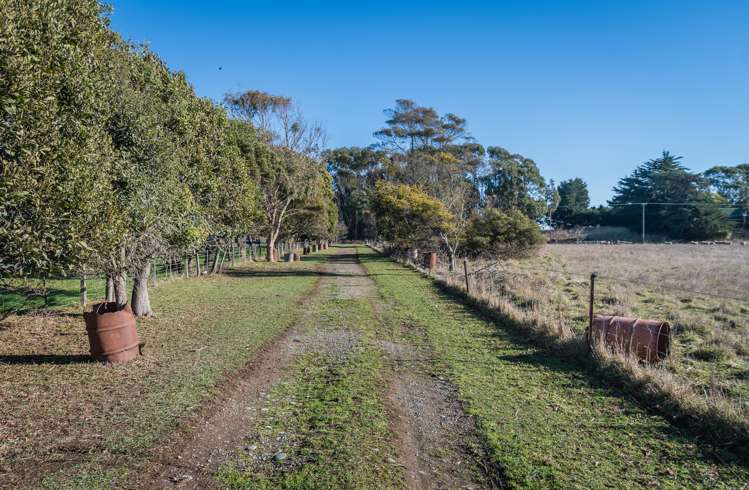 362 Waimate Highway Saint Andrews_21
