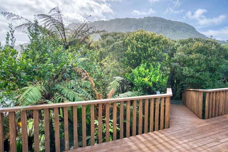 6 Ross Place Te Miko_45