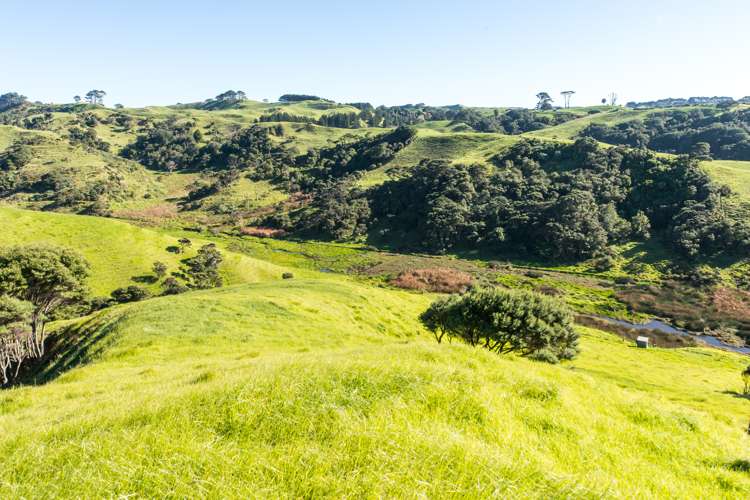 36 Goudie Road Helensville_11