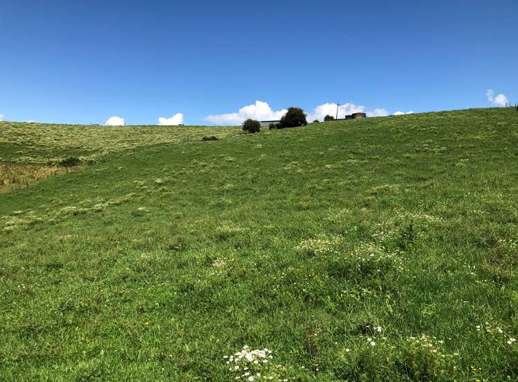 1564 State Highway 31 Kawhia Road Otorohanga_34