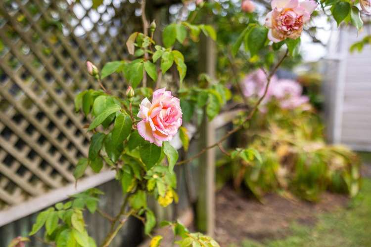 32 Salisbury Avenue Wanganui East_18