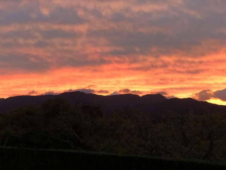 228A Lockington Road Katikati_22