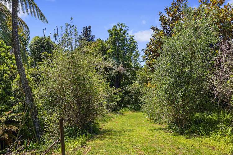 4 Dunbar Place Highlands Park_9