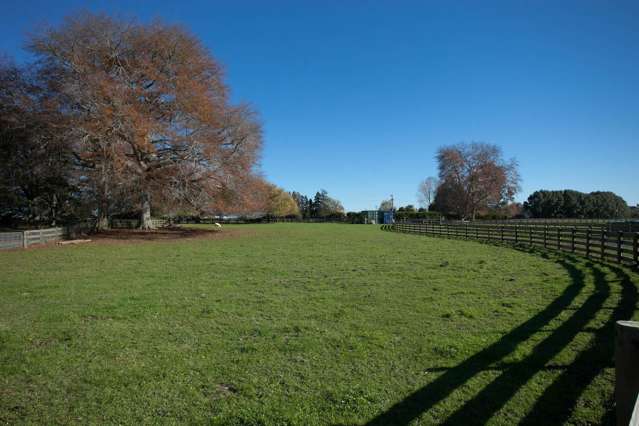 312b Marychurch Road Matangi_3